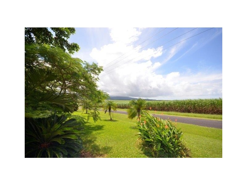 15 De Meio Drive, Wonga QLD 4873