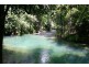 Lot 179 Turpentine Road DIWAN, Daintree QLD 4873