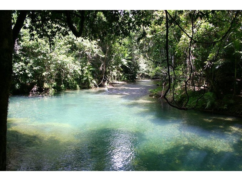 Lot 179 Turpentine Road DIWAN, Daintree QLD 4873