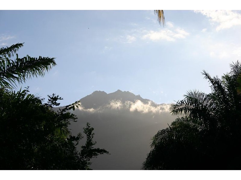 Lot 179 Turpentine Road DIWAN, Daintree QLD 4873
