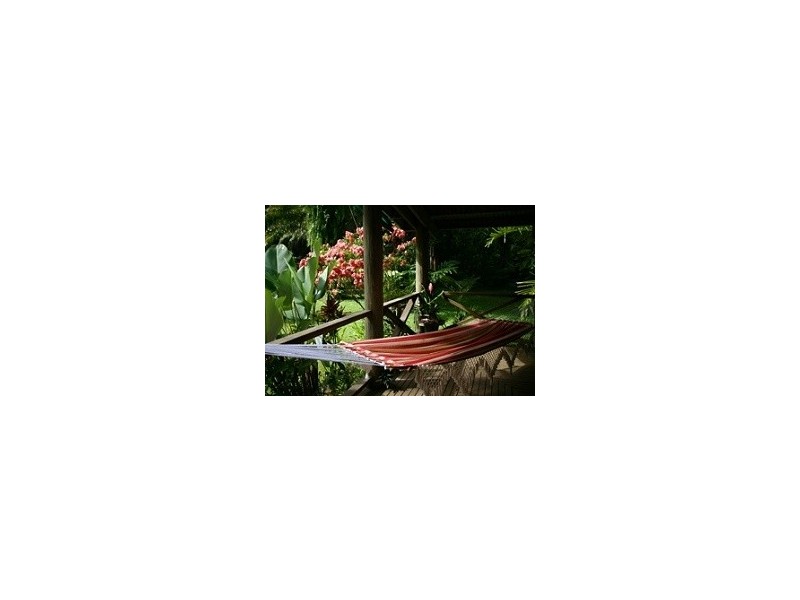 Lot 179 Turpentine Road DIWAN, Daintree QLD 4873