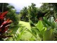 Lot 179 Turpentine Road DIWAN, Daintree QLD 4873
