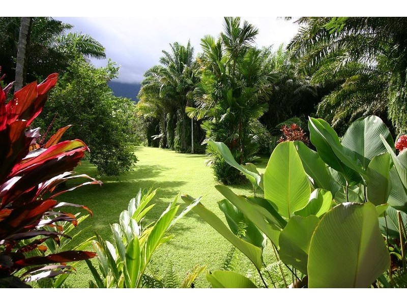 Lot 179 Turpentine Road DIWAN, Daintree QLD 4873