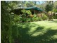Lot 179 Turpentine Road DIWAN, Daintree QLD 4873