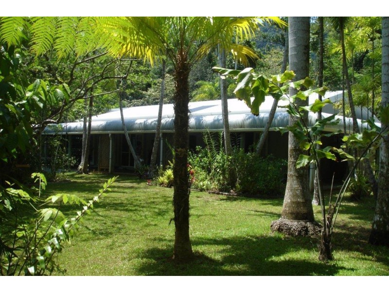 146 Wattle Close, Cow Bay QLD 4873