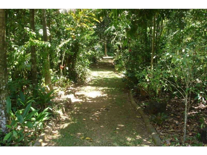 146 Wattle Close, Cow Bay QLD 4873