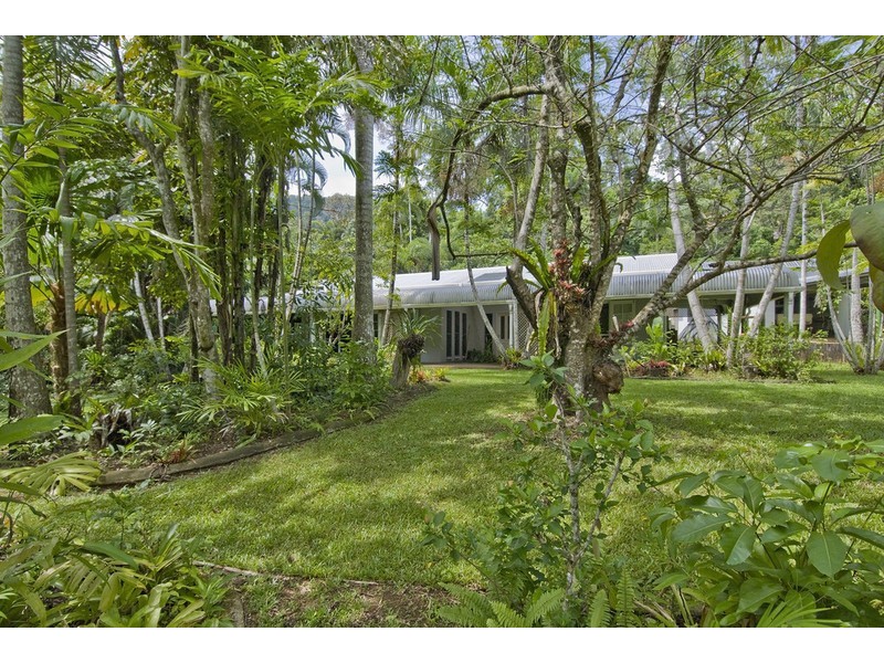 146 Wattle Close, Cow Bay QLD 4873