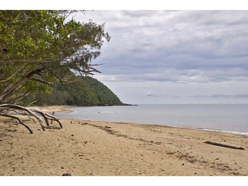 146 Wattle Close, Cow Bay QLD 4873