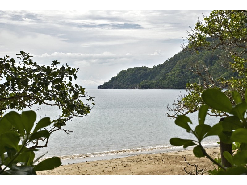 146 Wattle Close, Cow Bay QLD 4873