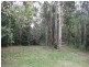 237 McLean Bridge Road, Julatten QLD 4871