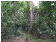 237 McLean Bridge Road, Julatten QLD 4871