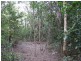 237 McLean Bridge Road, Julatten QLD 4871