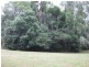 237 McLean Bridge Road, Julatten QLD 4871