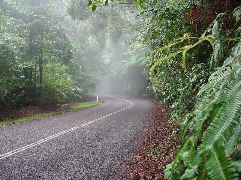 Lot 2 Forest Creek Road FOREST CREEK, Daintree QLD 4873