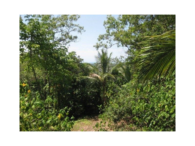 20 Coral Sea Drive, Mossman QLD 4873