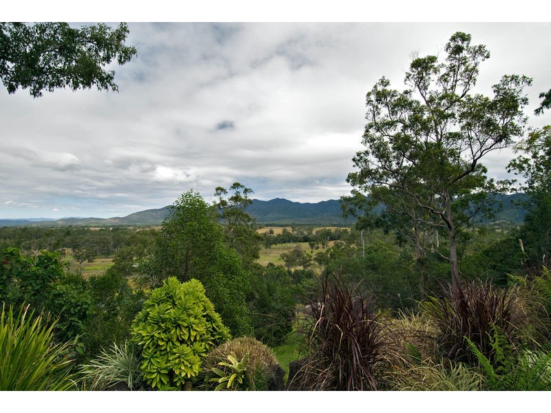 115 McLean Bridge Road, Julatten QLD 4871