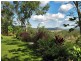 115 McLean Bridge Road, Julatten QLD 4871