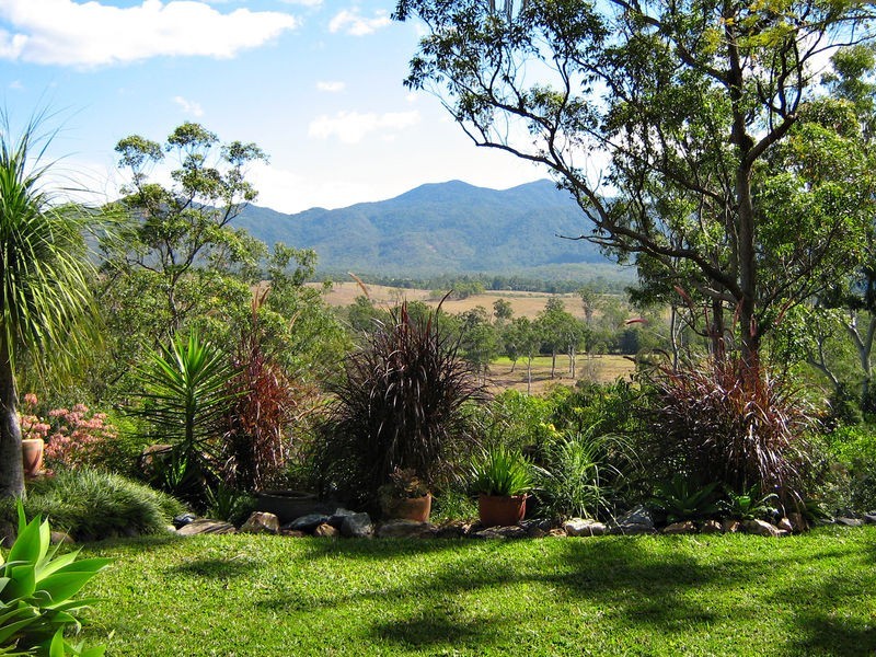 115 McLean Bridge Road, Julatten QLD 4871
