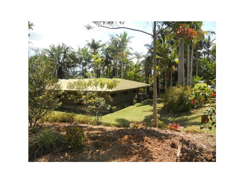 206 Euluma Creek Road, Julatten QLD 4871