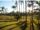 206 Euluma Creek Road, Julatten QLD 4871