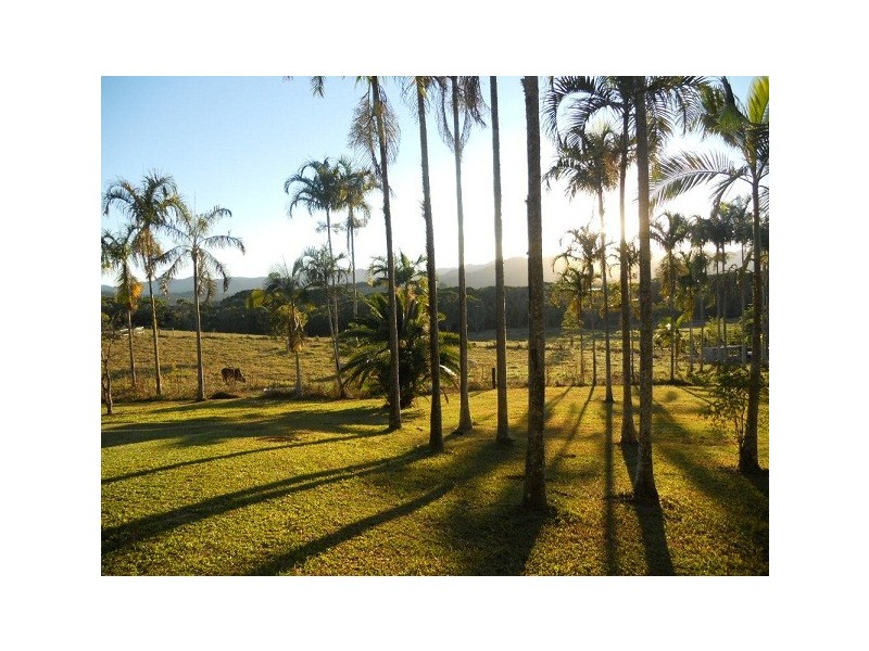 206 Euluma Creek Road, Julatten QLD 4871