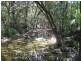 Lot 2 Finlayvale Road, Mossman QLD 4873
