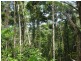 Lot 2 Finlayvale Road, Mossman QLD 4873