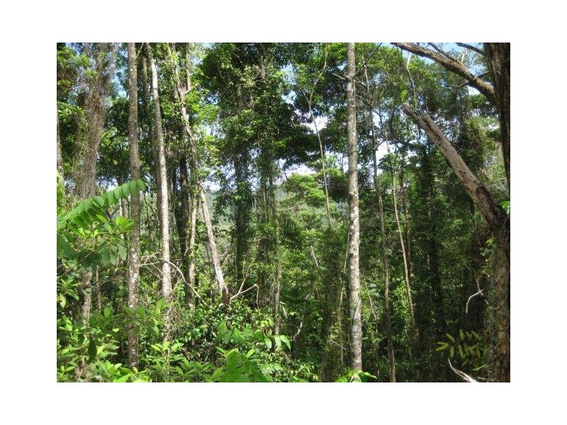 Lot 2 Finlayvale Road, Mossman QLD 4873