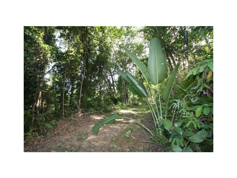 Lot 100 Finlayvale Road, Mossman QLD 4873