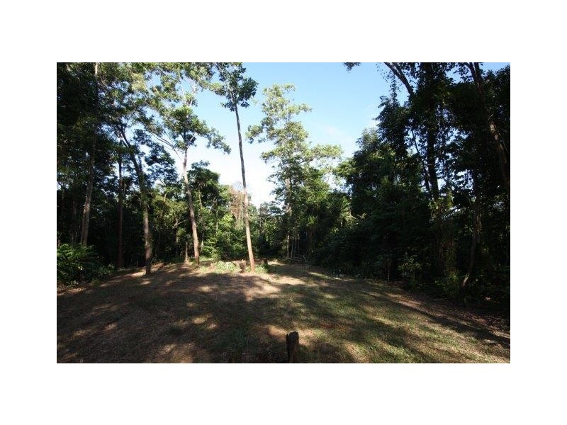 Lot 100 Finlayvale Road, Mossman QLD 4873