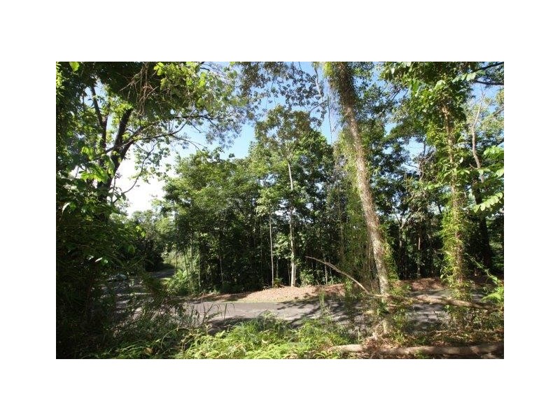 Lot 100 Finlayvale Road, Mossman QLD 4873