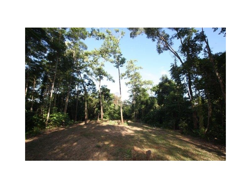 Lot 100 Finlayvale Road, Mossman QLD 4873