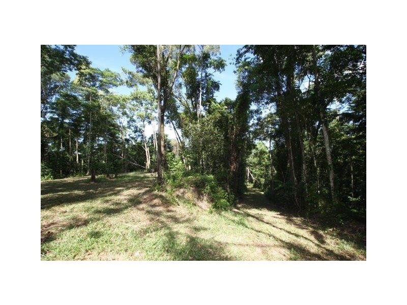 Lot 100 Finlayvale Road, Mossman QLD 4873