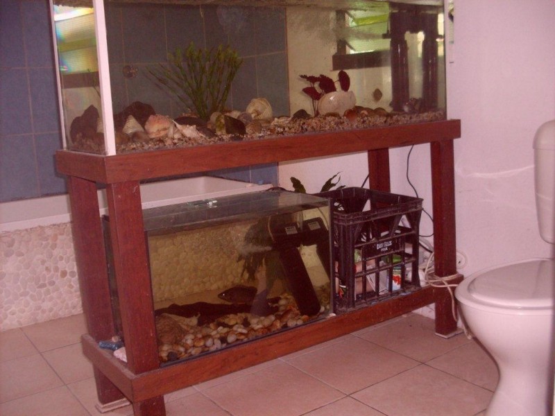 8 Vains Close, Mount Molloy QLD 4871