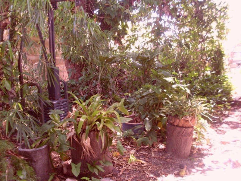 8 Vains Close, Mount Molloy QLD 4871