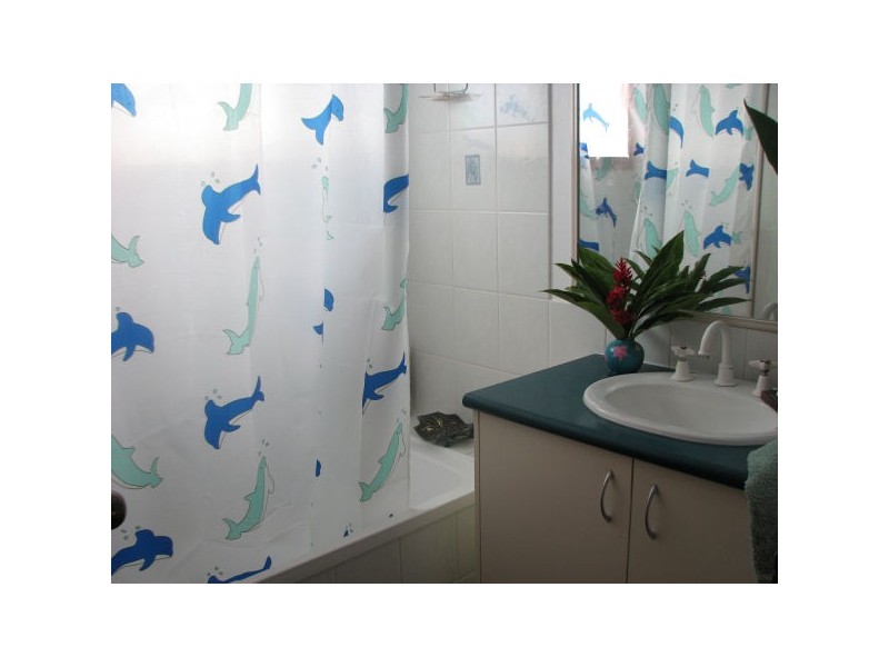 2 Gardenia Close, Wonga QLD 4873