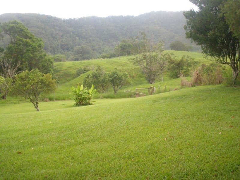Lot 1 (700) Stewart Creek Rd, Lower Daintree QLD 4873