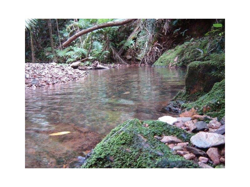 163 Wattle Close Cow Bay, Daintree QLD 4873