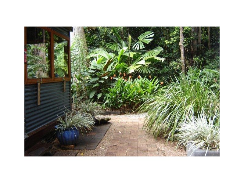 163 Wattle Close Cow Bay, Daintree QLD 4873