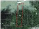163 Wattle Close Cow Bay, Daintree QLD 4873