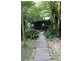 65 Thornton Peak Drive FOREST CREEK, Daintree QLD 4873