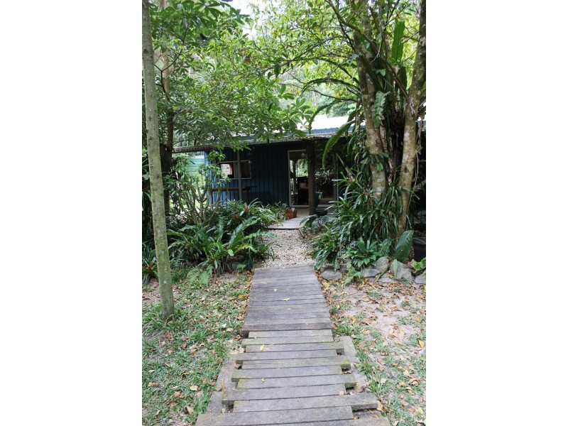 65 Thornton Peak Drive FOREST CREEK, Daintree QLD 4873