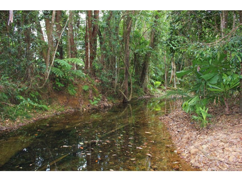 65 Thornton Peak Drive FOREST CREEK, Daintree QLD 4873