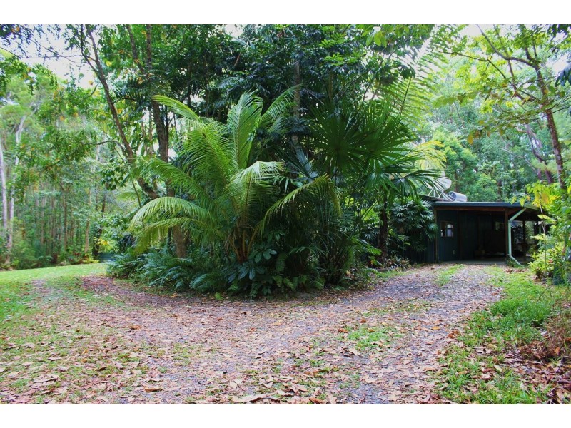 65 Thornton Peak Drive FOREST CREEK, Daintree QLD 4873