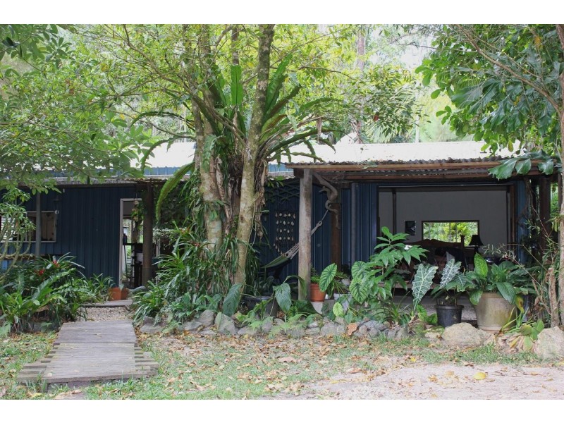 65 Thornton Peak Drive FOREST CREEK, Daintree QLD 4873