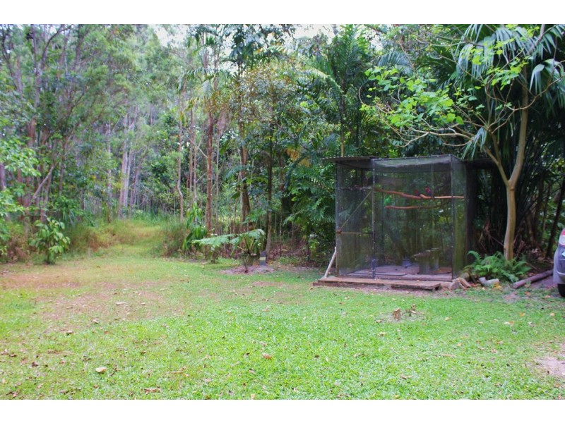 65 Thornton Peak Drive FOREST CREEK, Daintree QLD 4873