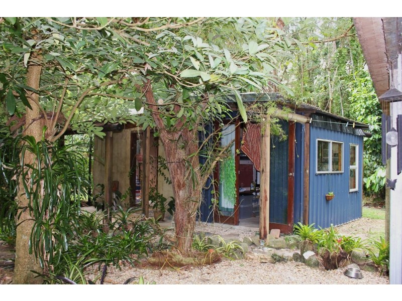 65 Thornton Peak Drive FOREST CREEK, Daintree QLD 4873