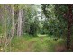 65 Thornton Peak Drive FOREST CREEK, Daintree QLD 4873