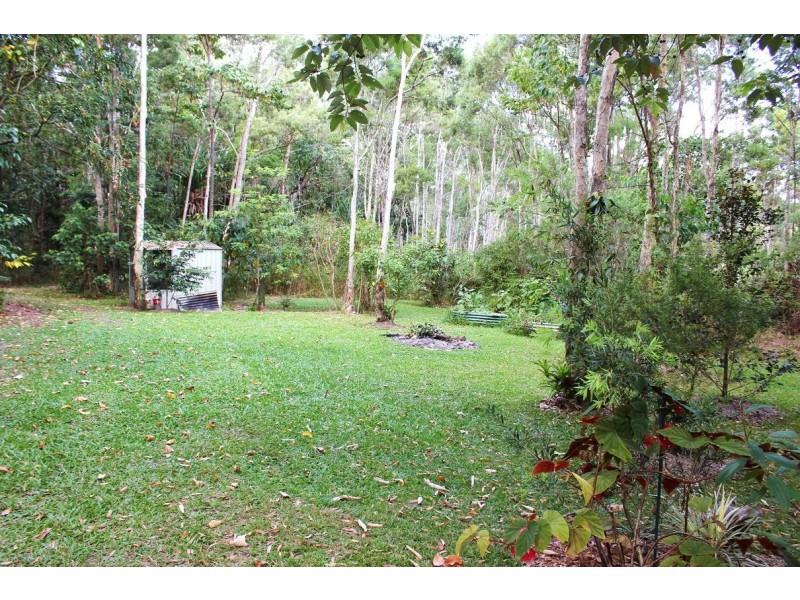 65 Thornton Peak Drive FOREST CREEK, Daintree QLD 4873
