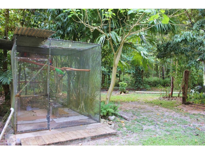 65 Thornton Peak Drive FOREST CREEK, Daintree QLD 4873